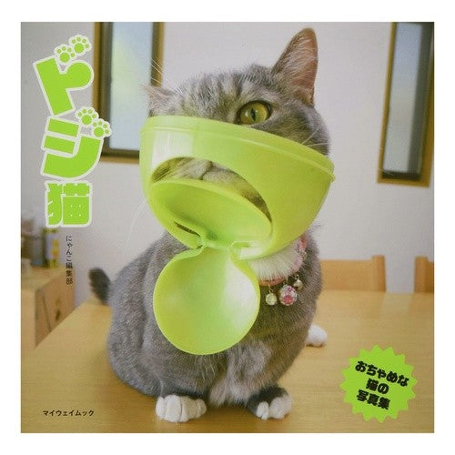 ドジ猫