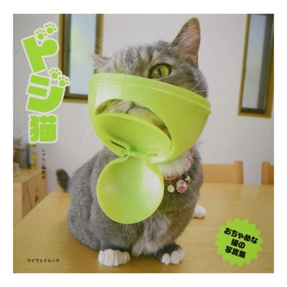 ドジ猫