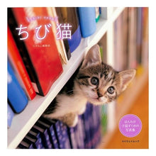 画像をギャラリービューアに読み込む, ちび猫
