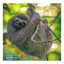 画像をギャラリービューアに読み込む, おやすみアニマル
