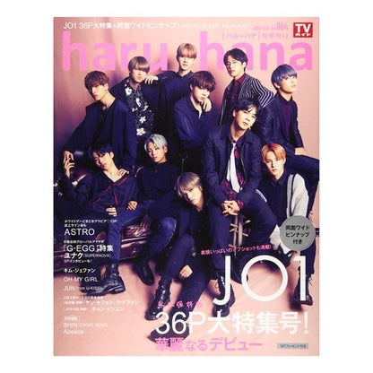 ｈａｒｕ＊ｈａｎａ　　６４