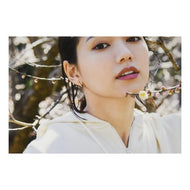 二階堂ふみｉｎエール　ＰＨＯＴＯ　ＢＯＯ