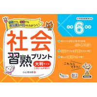画像をギャラリービューアに読み込む, 社会習熟プリント　小学６年生　大判サイズ
