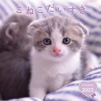 ’２３　こねこだいすきカレンダー