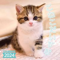 Load image into Gallery viewer, #ジーウォーク #’２４こねこだいすきカレンダー
