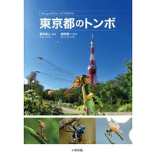 画像をギャラリービューアに読み込む, 東京都のトンボ

