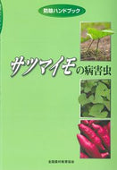 #KenWatanabe #SweetPotatoDiseasesAndPests