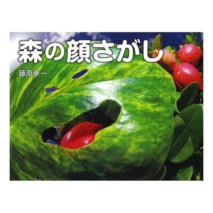 森の顔さがし