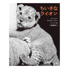 画像をギャラリービューアに読み込む, ちいさなライオン
