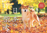 画像をギャラリービューアに読み込む, #蜂巣文香 #’２４日本の柴犬カレンダー
