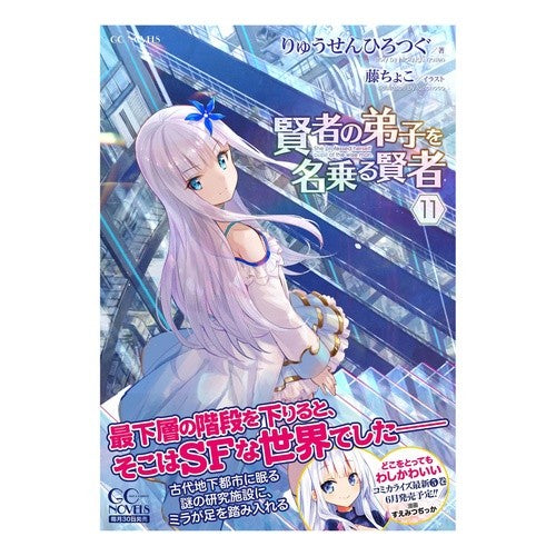 賢者の弟子を名乗る賢者　　１１