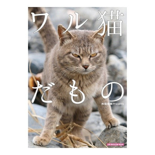 ワル猫だもの