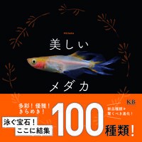 Load image into Gallery viewer, 美しいメダカ

