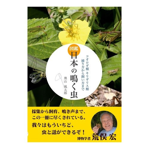図鑑　日本の鳴く虫　コオロギ類キリギリス