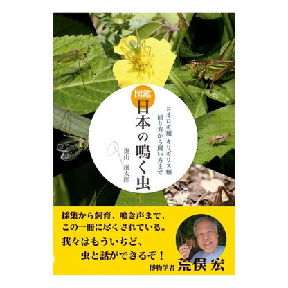 図鑑　日本の鳴く虫　コオロギ類キリギリス