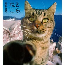 画像をギャラリービューアに読み込む, とらねこ Mitsuaki Iwago
