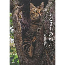 画像をギャラリービューアに読み込む, ふるさとのねこ Mitsuaki Iwago
