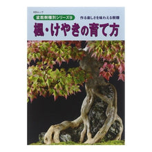 画像をギャラリービューアに読み込む, 楓・けやきの育て方
