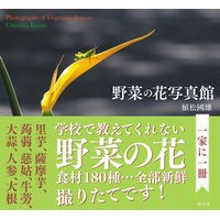 野菜の花写真館