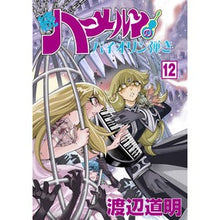 画像をギャラリービューアに読み込む, 続　ハーメルンのバイオリン弾き　　１２
