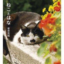 画像をギャラリービューアに読み込む, ねことはな Mitsuaki Iwago
