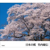Load image into Gallery viewer, 日本の桜

