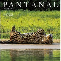 画像をギャラリービューアに読み込む, ＰＡＮＴＡＮＡＬ Mitsuaki Iwago
