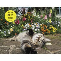 画像をギャラリービューアに読み込む, カレンダー　’２２　岩合光昭　ねこ
