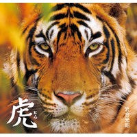 Load image into Gallery viewer, 虎 Mitsuaki Iwago

