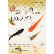 改良メダカ大図鑑　１００年メダカ　　１９