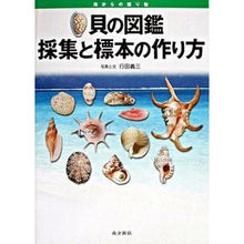 Load image into Gallery viewer, 貝の図鑑　採集と標本の作り方　海からの贈

