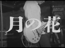 ギャラリービューア＃LINK ＃終末のハーレム　１８ ﾘﾝｸ 集英社 終末のハーレム 18 (ジャンプコミックス) : LINK Harem of the End 18 :9784088836249に読み込んでビデオを見る
