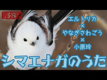 ギャラリービューア＃小原 玲 ＃もっとシマエナガちゃん ｵﾊﾗﾚｲ 講談社 講談社ビーシー : Rei Ohara More Shimaenaga-chan :9784062208659に読み込んでビデオを見る
