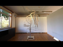 ギャラリービューア＃田島 征三 ＃とべ　バッタ ﾀｼﾞﾏｾｲｿﾞｳ | Seizo Tajima Tobe Grasshopper :9784033311401に読み込んでビデオを見る
