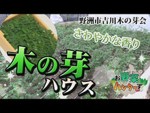 ギャラリービューア＃木の芽 ＃勇者パーティーをクビになったので故郷に帰 ｷﾉﾒ KADOKAWA 勇者パーティーをクビになったので故郷に帰ったら、メンバー全員がついてきたんだが (角川スニーカー文庫) : tree bud I was fired from the hero par : tree bud I was fired from the  :9784041141854に読み込んでビデオを見る
