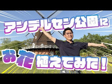 ギャラリービューア＃アンデルセン ＃雪の女王　改版　アンデルセン童話集 ｱﾝﾃﾞﾙｾﾝ KADOKAWA 雪の女王 アンデルセン童話集 (角川文庫) : andersen The Snow Queen Revised Edition Hans Christian Andersen  : andersen The Snow Queen Revise :9784041086209に読み込んでビデオを見る
