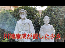 ギャラリービューア＃川端　康成 ＃たんぽぽ ｶﾜﾊﾞﾀﾔｽﾅﾘ --- : Yasunari Kawabata Dandelion :9784061963528に読み込んでビデオを見る

