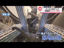 Load and play video in Gallery viewer, ＃福井県立恐竜博物館 ＃福井県立恐竜博物館１００ ﾌｸｲｹﾝﾘﾂｷﾖｳﾘﾕｳ 講談社 福井県立恐竜博物館100 (講談社のアルバムシリーズ どうぶつアルバム 13) : Fukui Prefectural Dinosaur Museum Fukui Prefect : Fukui Prefectural Dinosaur Mus :9784062656429
