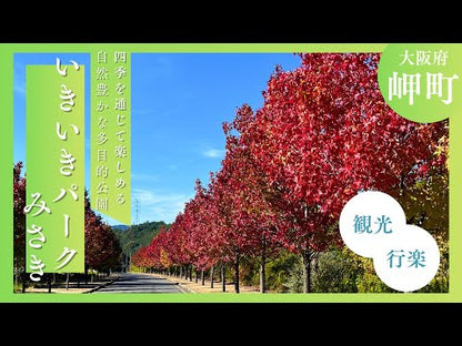 ＃岬 ＃愛してるとしかいいようがない ﾐｻｷ KADOKAWA/アスキー・メディアワークス KADOKAWA (魔法のiらんど単行本) : cape All I can say is that I love you :9784048652018
