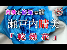 Load and play video in Gallery viewer, ＃瀬戸内　晴美 ＃京まんだら　上 ｾﾄｳﾁﾊﾙﾐ 講談社 京まんだら(上) (講談社文庫 せ 1-6) : Harumi Setouchi Kyo Mandara 1 :9784061313491
