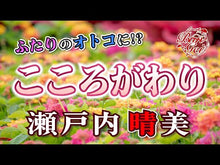 Load and play video in Gallery viewer, ＃瀬戸内　晴美 ＃色徳 ｾﾄｳﾁﾊﾙﾐ 講談社 瀬戸内晴美長編選集 (続第1巻) : Harumi Setouchi virtue of color :9784061284142
