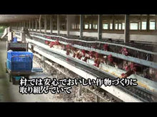 ギャラリービューア＃武者小路　実篤 ＃愛と死 ﾑｼﾔﾉｺｳｼﾞｻﾈｱﾂ 偕成社 (ジュニア版日本文学名作選 43) : Mushakoji Saneatsu love and death :9784038014307に読み込んでビデオを見る
