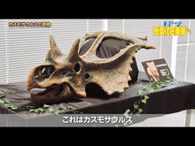 ギャラリービューア＃真鍋真 ＃きみも恐竜博士だ！真鍋先生の恐竜教室 ﾏﾅﾍﾞﾏｺﾄ --- 岩波書店 きみも恐竜博士だ！ 真鍋先生の恐竜教室 : Makoto Manabe You too are a dinosaur doctor! :9784001160420に読み込んでビデオを見る
