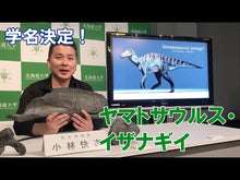 ギャラリービューア＃小林快次 ＃恐竜　２ ｺﾊﾞﾔｼﾖｼﾂｸﾞ 講談社 恐竜2 最新研究 新訂版 (講談社の動く図鑑MOVE) : Kaiji Kobayashi Dinosaur 2 :9784065329184に読み込んでビデオを見る
