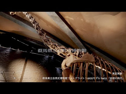 #GunmaPrefecturalMuseumofNaturalHistory #DinosaurEducationalBookForParentsAndChildren