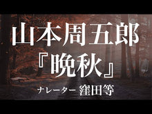 ギャラリービューア＃山本　周五郎 ＃戦国物語　信長と家康 ﾔﾏﾓﾄｼﾕｳｺﾞﾛｳ 講談社 戦国物語 信長と家康 (講談社文庫 や 78-6 山本周五郎コレクション) : Shugoro Yamamoto Sengoku Monogatari Nobunaga and Ieyasu :9784065132296に読み込んでビデオを見る
