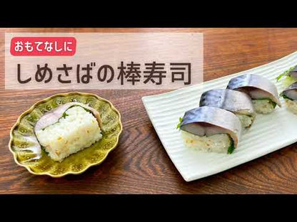＃しめさば ＃サキュバス四十八手　２ ｼﾒｻﾊﾞ 集英社 サキュバス四十八手 2 (ダッシュエックス文庫) : Shimesaba Succubus 48 moves 2 :9784086315456