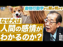 ギャラリービューア＃今泉忠明 ＃読解力ドリル　絶滅生物　低学年 ｲﾏｲｽﾞﾐﾀﾀﾞｱｷ Gakken 絶滅生物 低学年 : Tadaaki Imaizumi Reading Comprehension Drill Extinct Organisms Lower Grades :9784053063861に読み込んでビデオを見る
