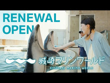 ギャラリービューア＃城崎 ＃ベノム　求愛性少女症候群 ｼﾛｻｷ :9784046803948に読み込んでビデオを見る
