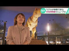 Load and play video in Gallery viewer, ＃福井県立恐竜博物館 ＃福井県立恐竜博物館１００ ﾌｸｲｹﾝﾘﾂｷﾖｳﾘﾕｳ 講談社 福井県立恐竜博物館100 (講談社のアルバムシリーズ どうぶつアルバム 13) : Fukui Prefectural Dinosaur Museum Fukui Prefect : Fukui Prefectural Dinosaur Mus :9784062656429

